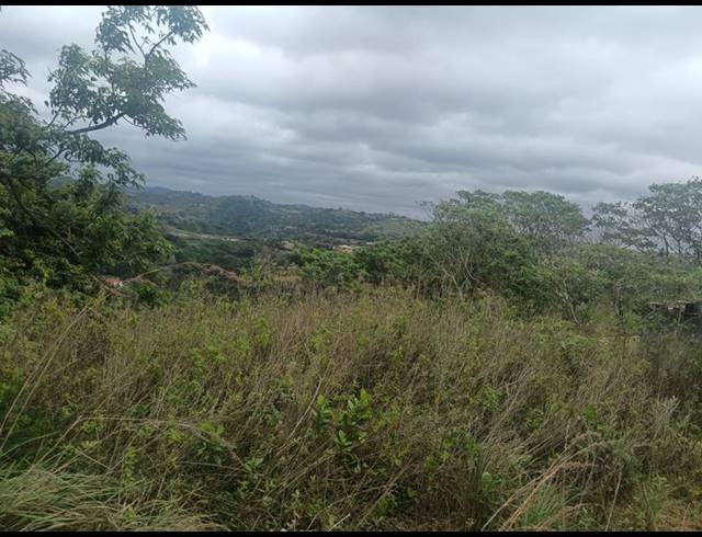 LAND FOR SALE IN LOVU